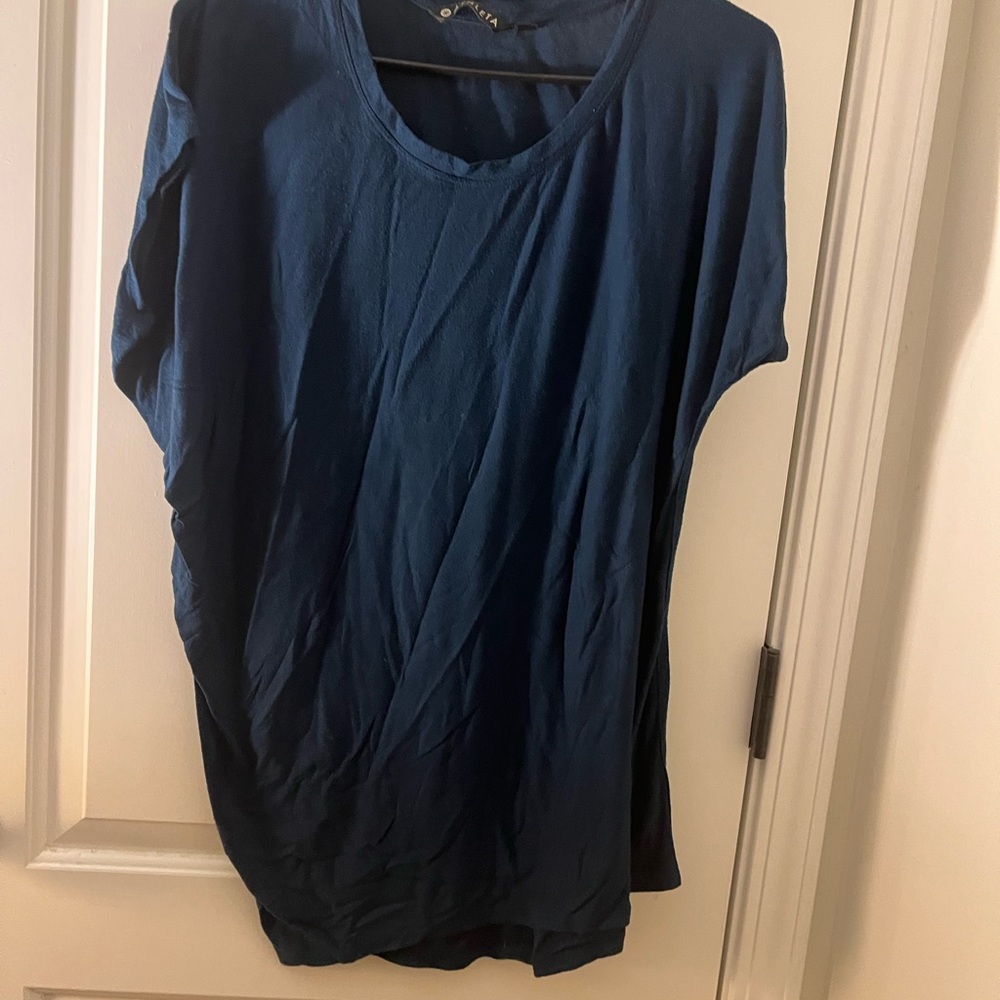 Athleta Adult Men's Short Sleeve T-Shirt Size Small Blue - Picture 2 of 11
